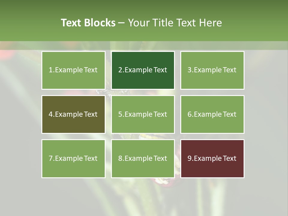 Lepidoptera Monarch Bloodflower PowerPoint Template