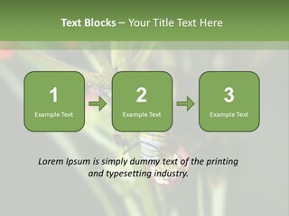 Lepidoptera Monarch Bloodflower PowerPoint Template