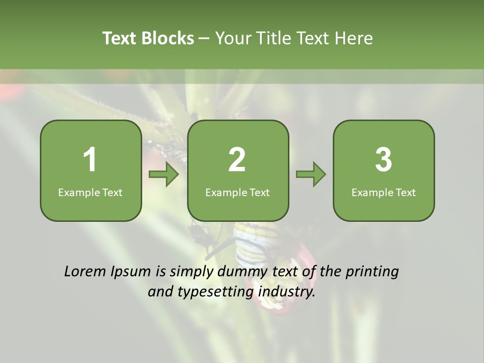 Lepidoptera Monarch Bloodflower PowerPoint Template