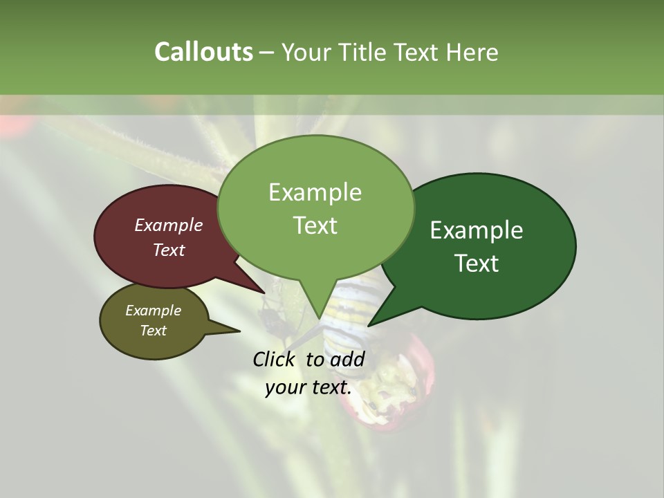 Lepidoptera Monarch Bloodflower PowerPoint Template