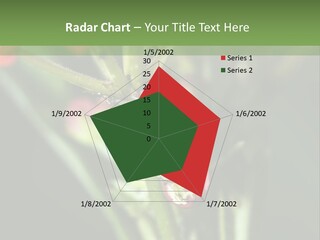 Lepidoptera Monarch Bloodflower PowerPoint Template