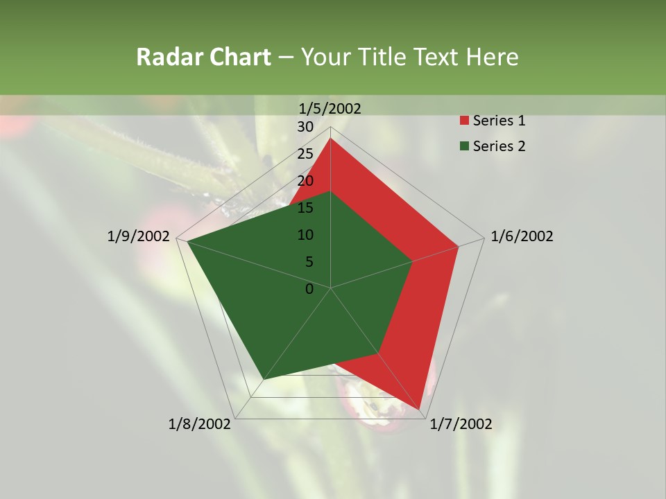 Lepidoptera Monarch Bloodflower PowerPoint Template