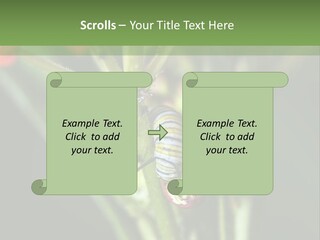 Lepidoptera Monarch Bloodflower PowerPoint Template