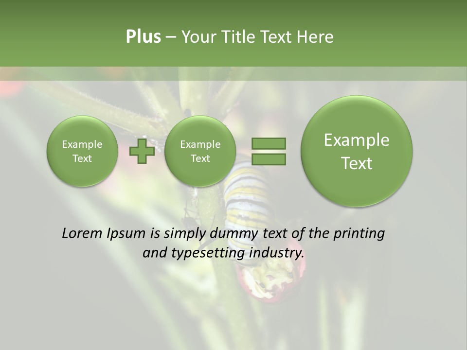 Lepidoptera Monarch Bloodflower PowerPoint Template
