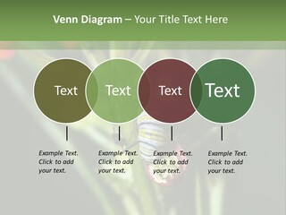 Lepidoptera Monarch Bloodflower PowerPoint Template