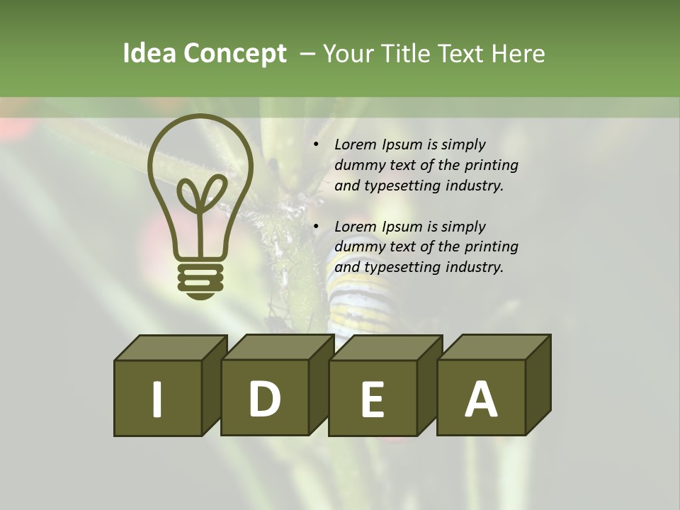 Lepidoptera Monarch Bloodflower PowerPoint Template