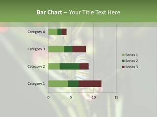 Lepidoptera Monarch Bloodflower PowerPoint Template