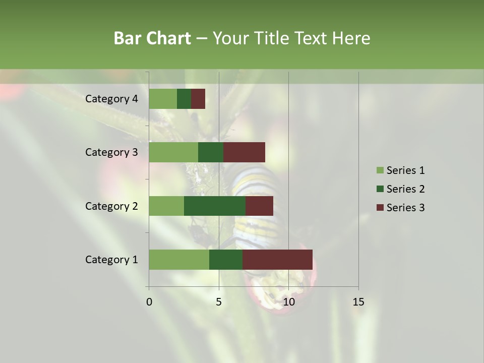 Lepidoptera Monarch Bloodflower PowerPoint Template