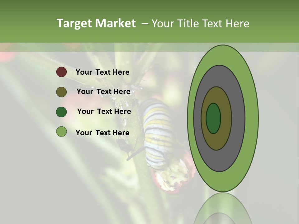 Lepidoptera Monarch Bloodflower PowerPoint Template