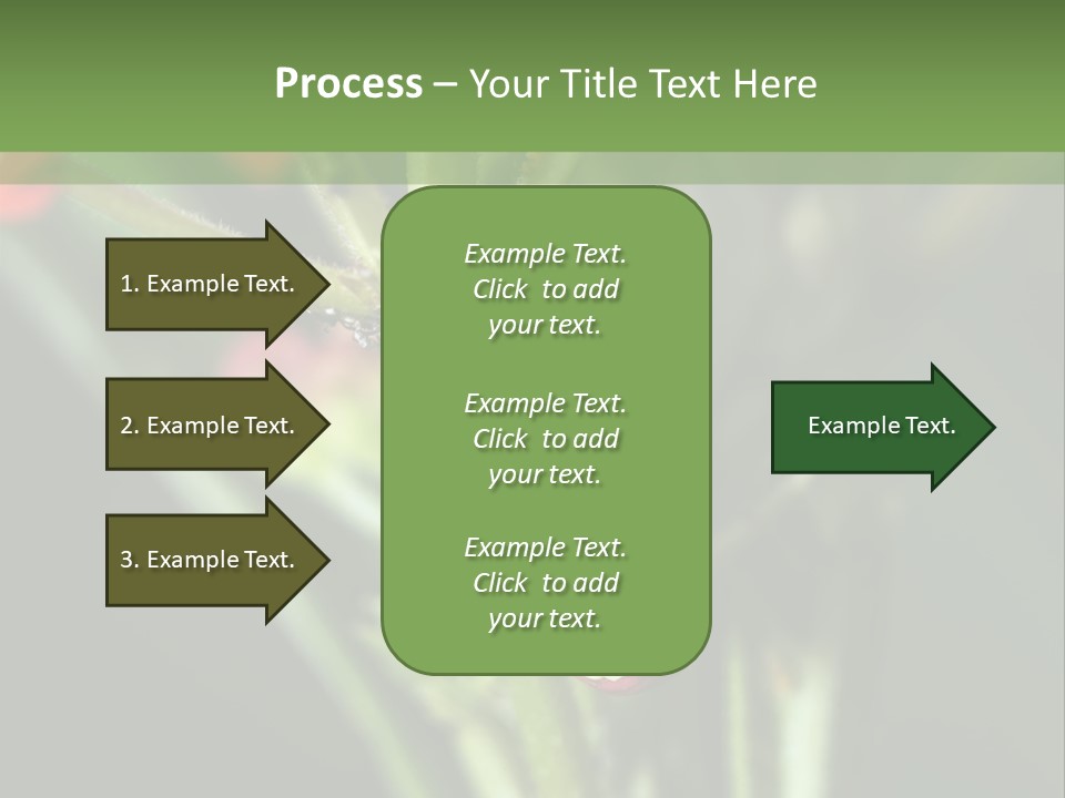 Lepidoptera Monarch Bloodflower PowerPoint Template