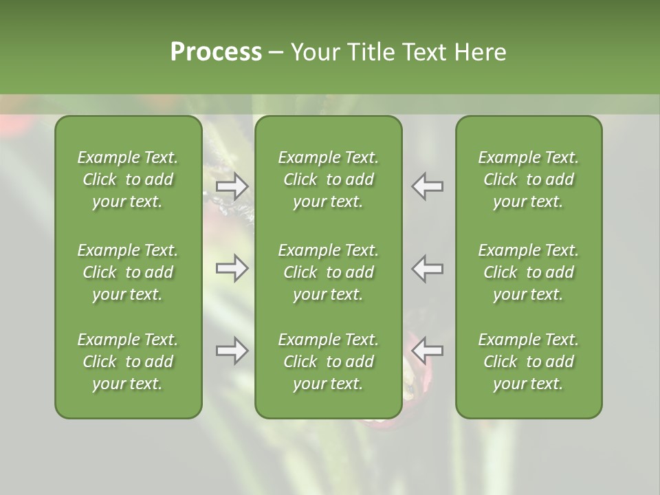 Lepidoptera Monarch Bloodflower PowerPoint Template