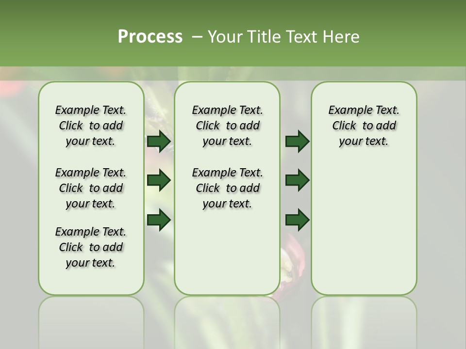 Lepidoptera Monarch Bloodflower PowerPoint Template