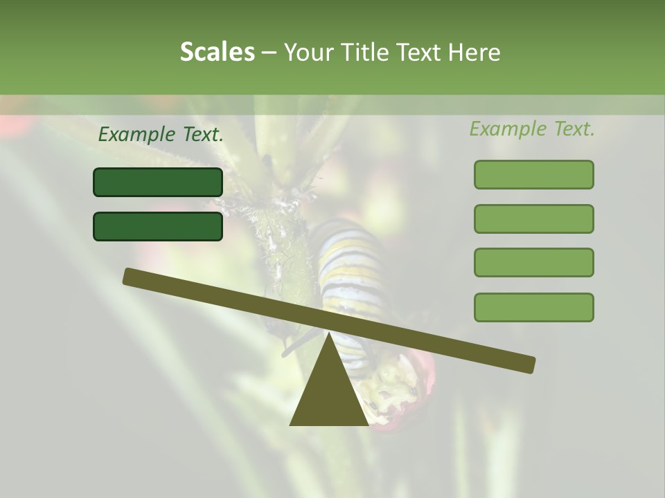 Lepidoptera Monarch Bloodflower PowerPoint Template