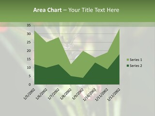 Lepidoptera Monarch Bloodflower PowerPoint Template