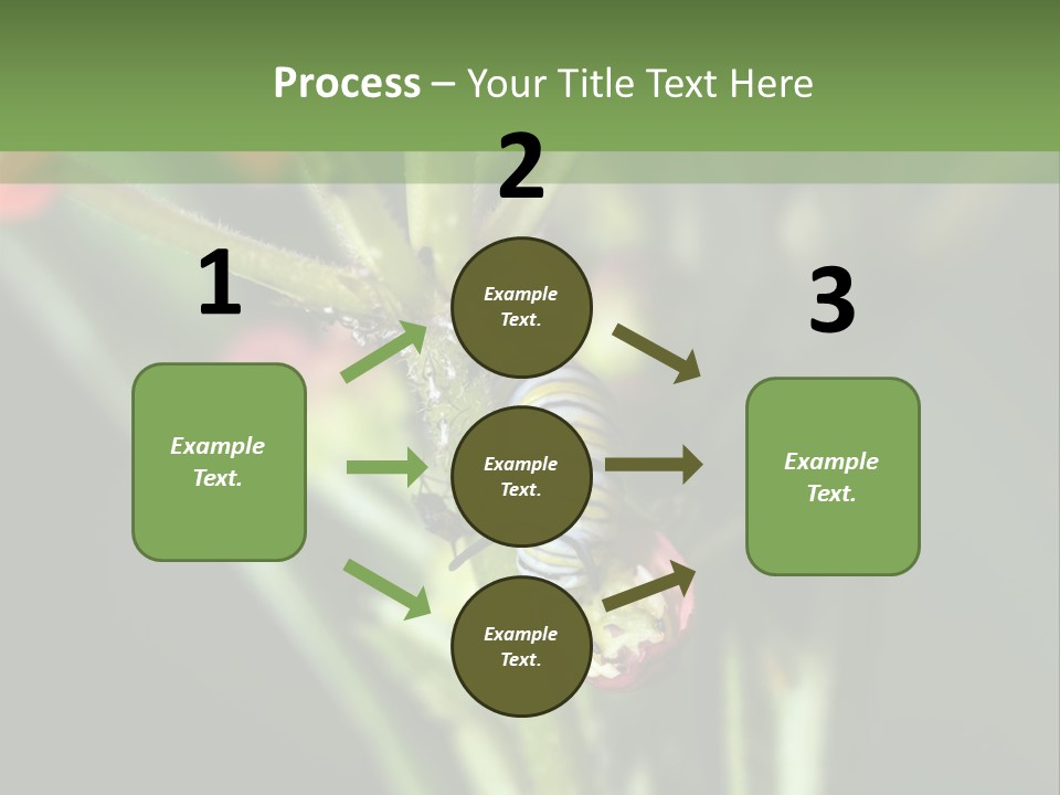 Lepidoptera Monarch Bloodflower PowerPoint Template