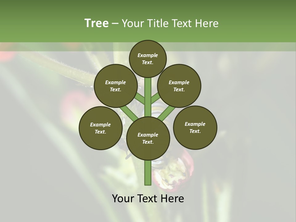 Lepidoptera Monarch Bloodflower PowerPoint Template