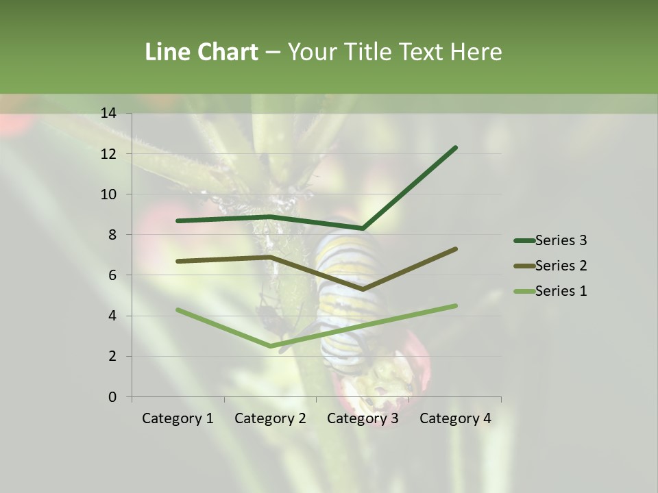 Lepidoptera Monarch Bloodflower PowerPoint Template