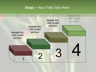 Lepidoptera Monarch Bloodflower PowerPoint Template