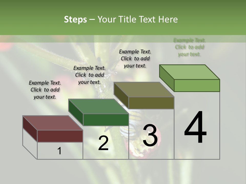 Lepidoptera Monarch Bloodflower PowerPoint Template