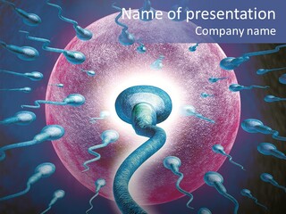 Stem Cell Research Stem Cell Anatomy PowerPoint Template