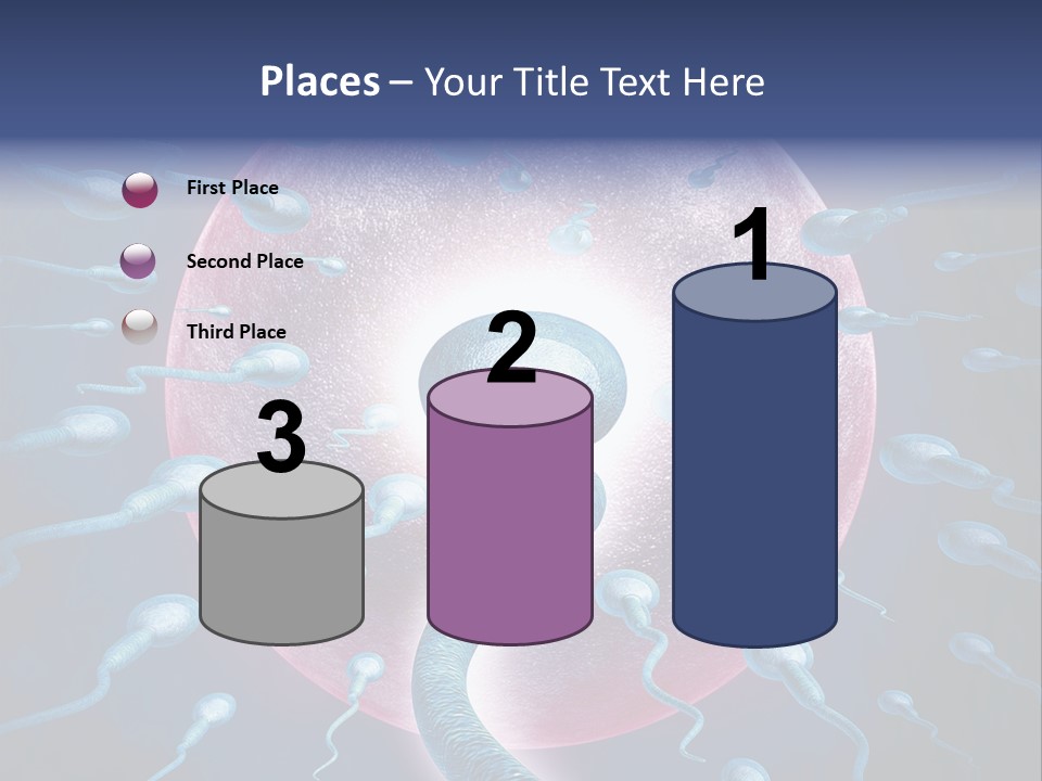 Stem Cell Research Stem Cell Anatomy PowerPoint Template