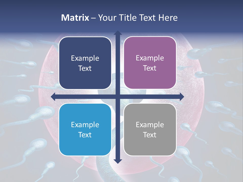 Stem Cell Research Stem Cell Anatomy PowerPoint Template