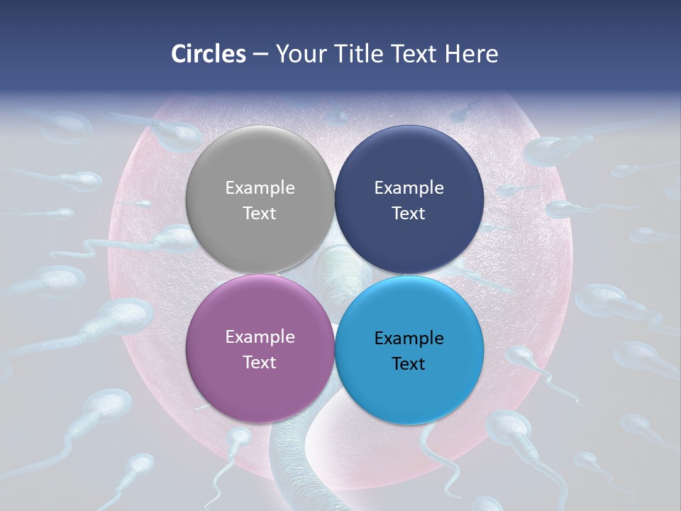 Stem Cell Research Stem Cell Anatomy PowerPoint Template