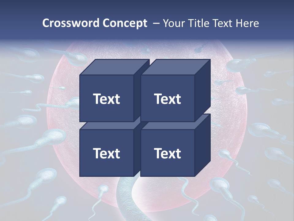 Stem Cell Research Stem Cell Anatomy PowerPoint Template