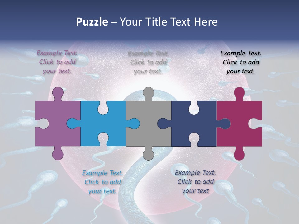 Stem Cell Research Stem Cell Anatomy PowerPoint Template