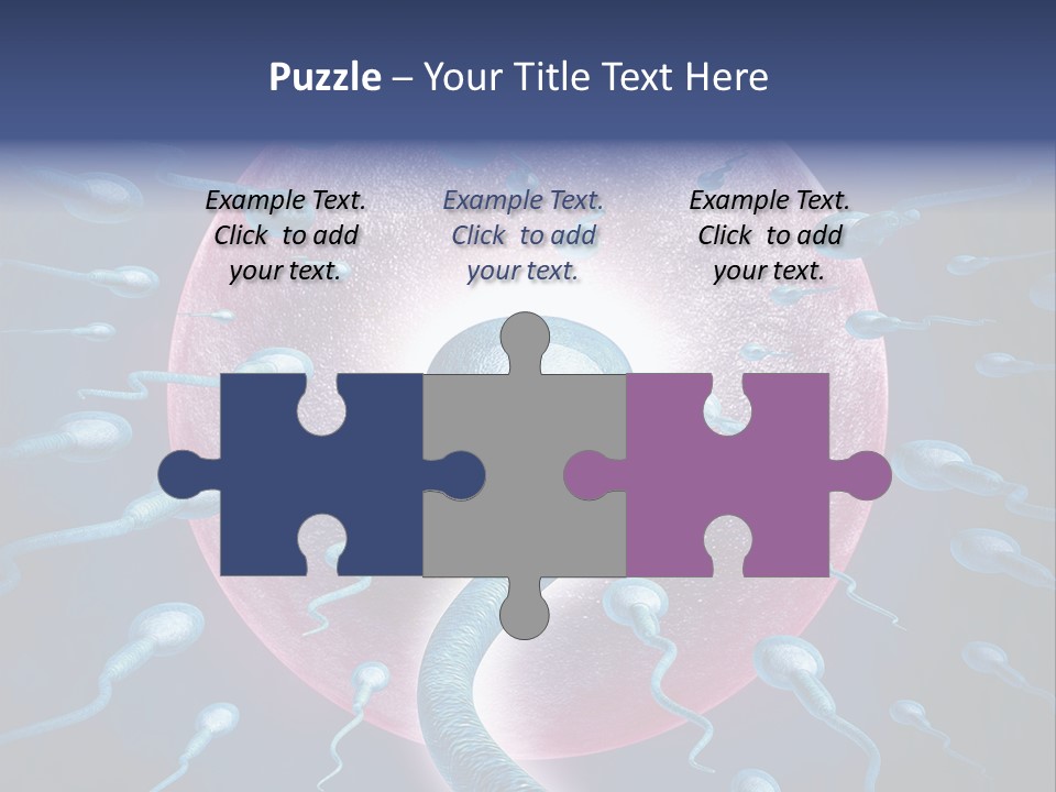 Stem Cell Research Stem Cell Anatomy PowerPoint Template