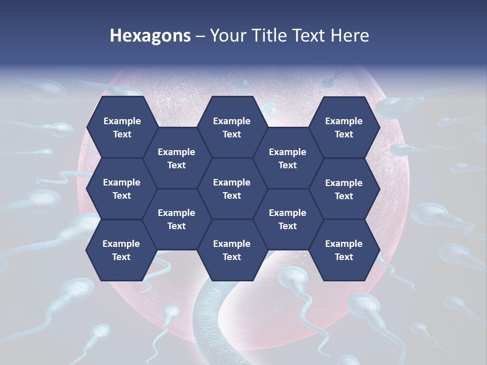 Stem Cell Research Stem Cell Anatomy PowerPoint Template