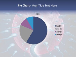 Stem Cell Research Stem Cell Anatomy PowerPoint Template