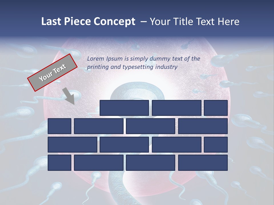 Stem Cell Research Stem Cell Anatomy PowerPoint Template