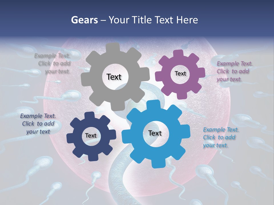 Stem Cell Research Stem Cell Anatomy PowerPoint Template
