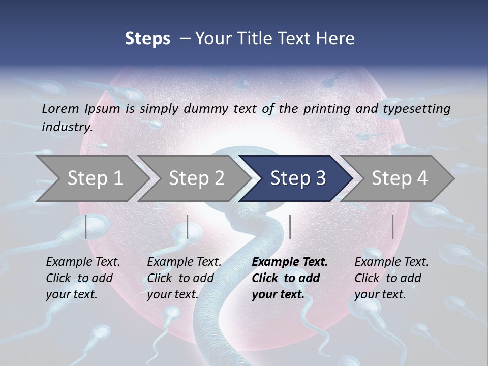 Stem Cell Research Stem Cell Anatomy PowerPoint Template