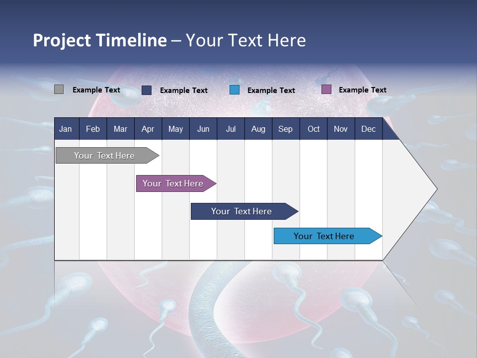 Stem Cell Research Stem Cell Anatomy PowerPoint Template