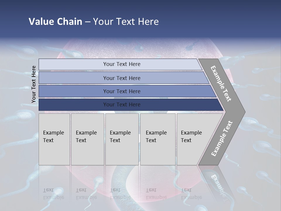 Stem Cell Research Stem Cell Anatomy PowerPoint Template