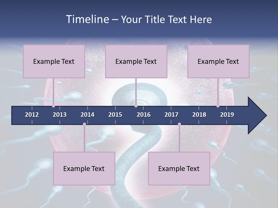 Stem Cell Research Stem Cell Anatomy PowerPoint Template