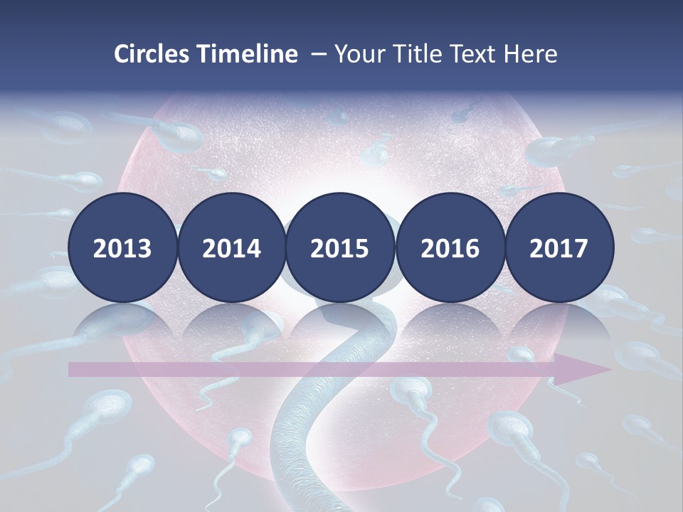 Stem Cell Research Stem Cell Anatomy PowerPoint Template