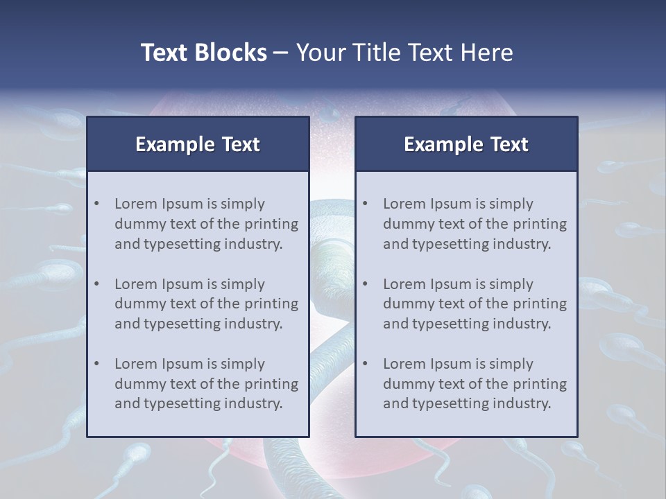 Stem Cell Research Stem Cell Anatomy PowerPoint Template