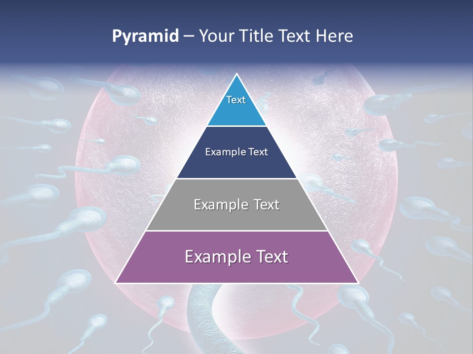 Stem Cell Research Stem Cell Anatomy PowerPoint Template