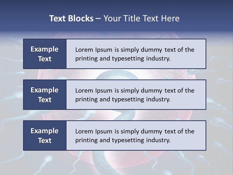 Stem Cell Research Stem Cell Anatomy PowerPoint Template
