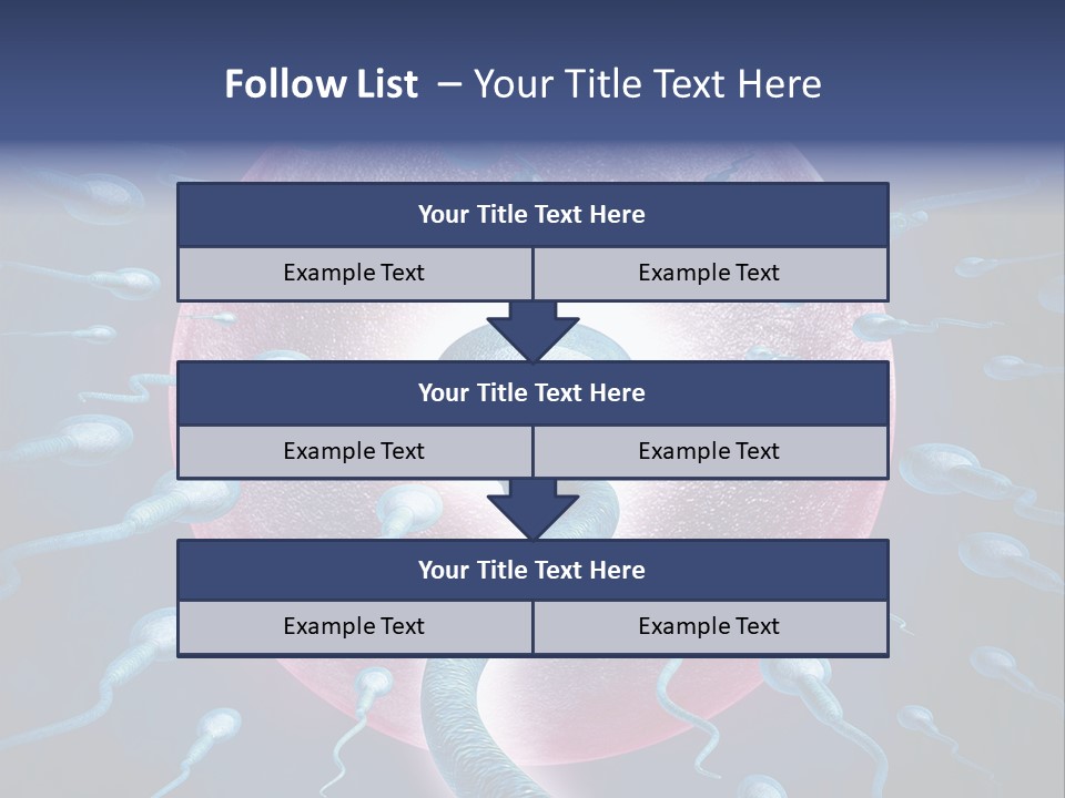 Stem Cell Research Stem Cell Anatomy PowerPoint Template