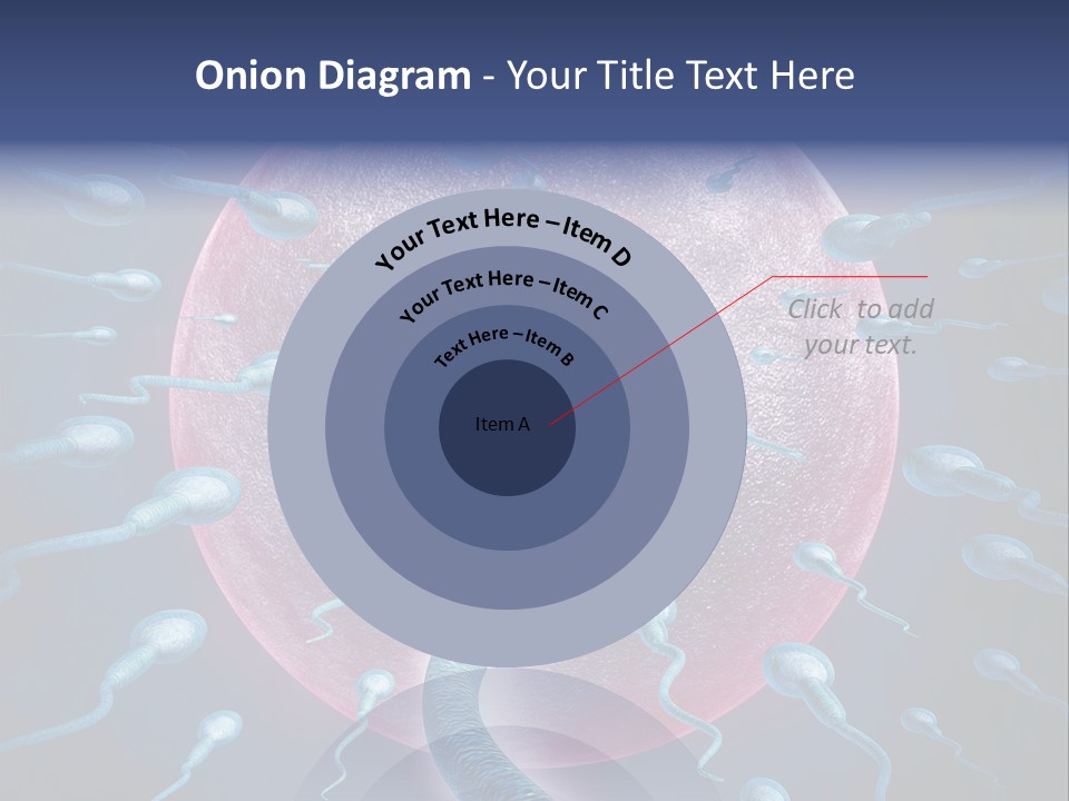 Stem Cell Research Stem Cell Anatomy PowerPoint Template