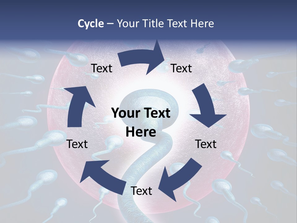 Stem Cell Research Stem Cell Anatomy PowerPoint Template