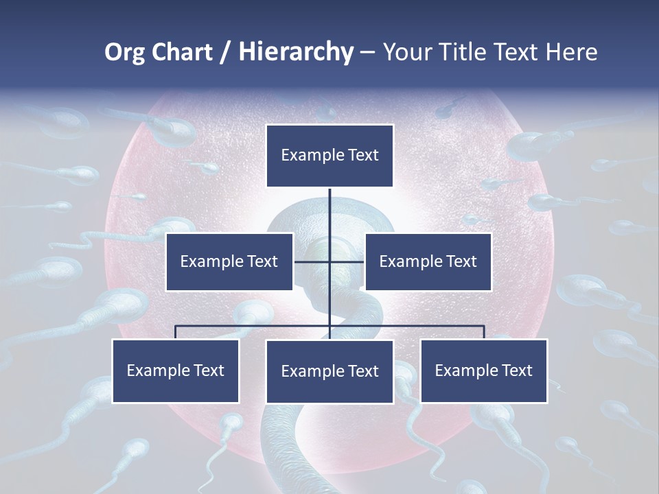 Stem Cell Research Stem Cell Anatomy PowerPoint Template