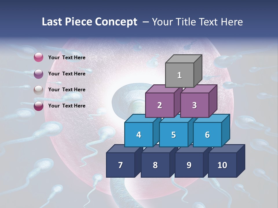 Stem Cell Research Stem Cell Anatomy PowerPoint Template