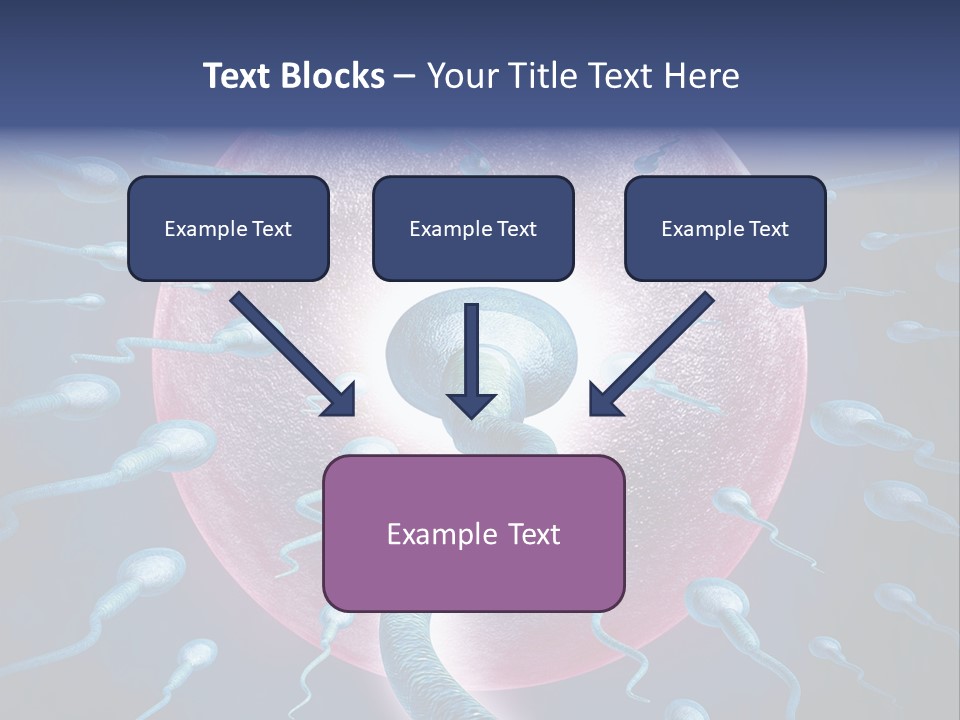 Stem Cell Research Stem Cell Anatomy PowerPoint Template