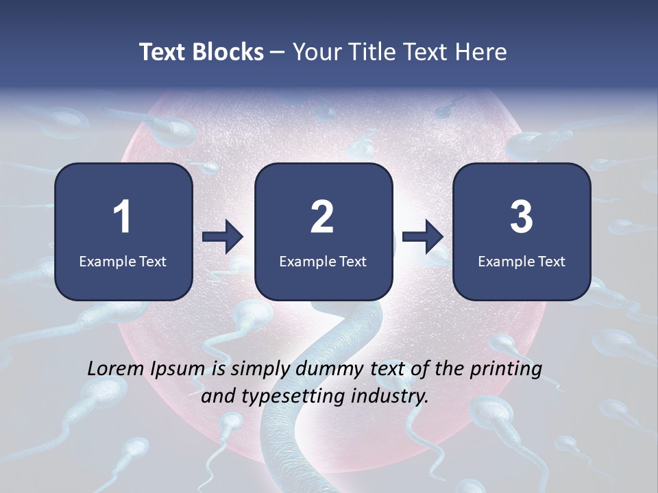Stem Cell Research Stem Cell Anatomy PowerPoint Template