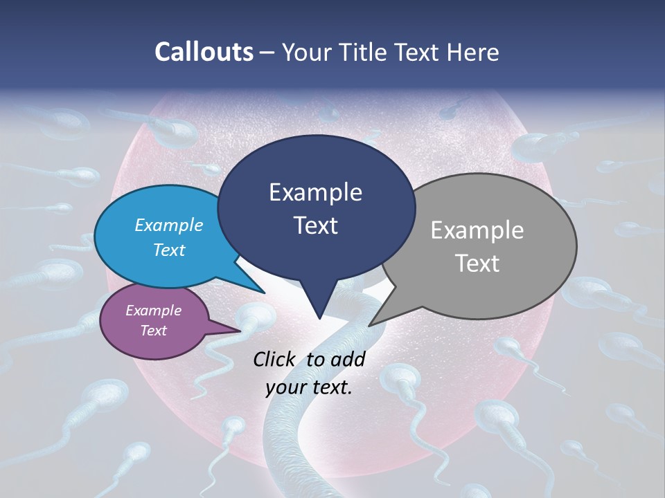 Stem Cell Research Stem Cell Anatomy PowerPoint Template